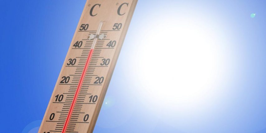 SOS Canicule !