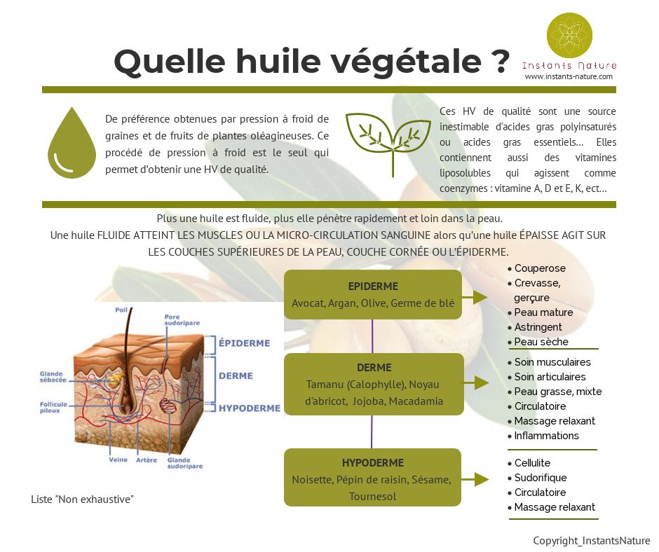 *** Chronique Aroma – Les huiles végétales ***